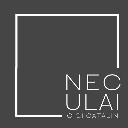 Neculai Gigi Catalin Logo