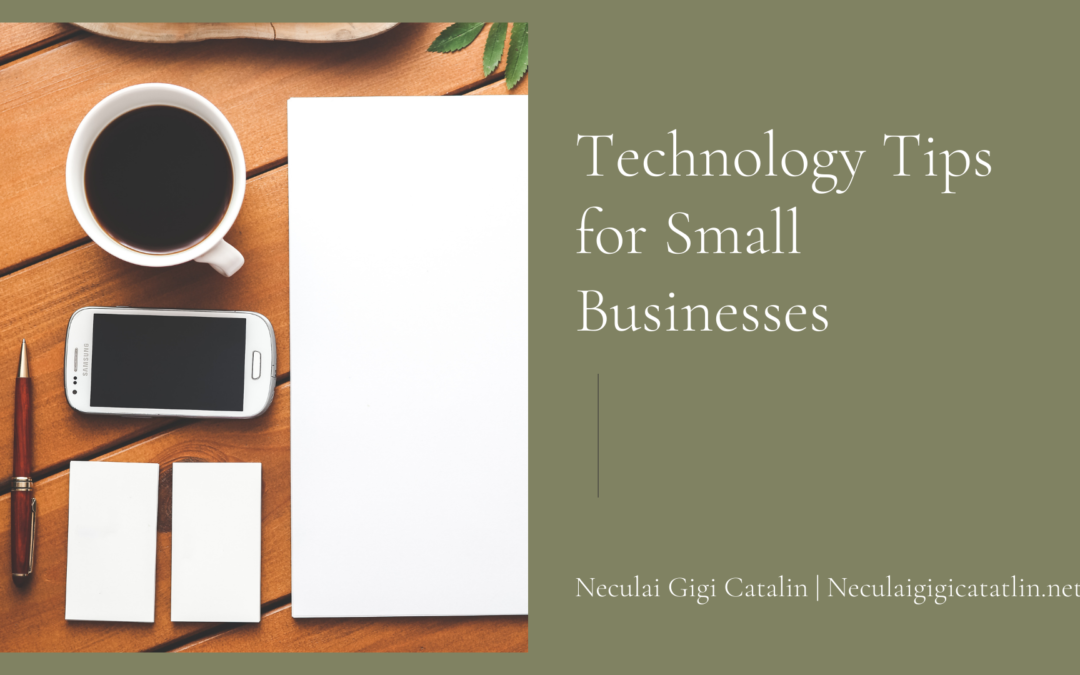 Neculai gigi catalin.net technology small business